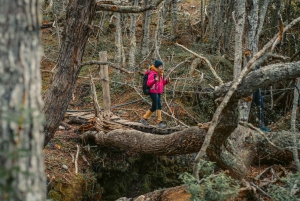 Beagle Flavors Dagtour!