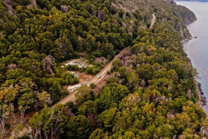 Beagle Flavors Dagtour!