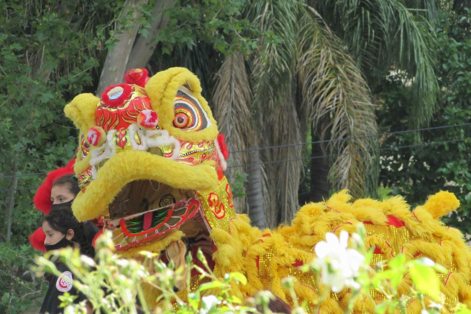 Maak kennis met Belgrano: de chique en groene wijk waar ook Chinatown ligt!