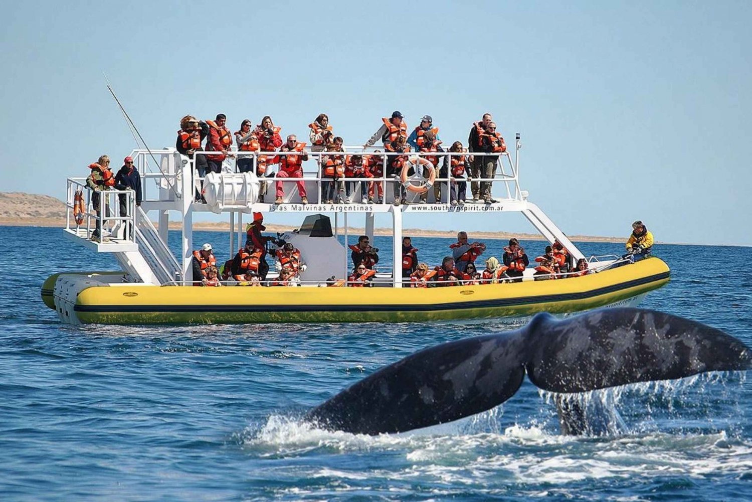 Beste schiereiland Valdes met walvissen kijken