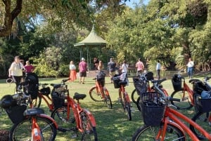 Excursión en Bicicleta: Buenos Aires al Norte (E-Bike)