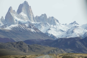 Birdwatching tour in Santa Cruz, Argentina's Patagonia