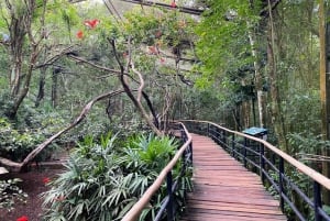 Cascate brasiliane, Parco degli uccelli e diga di Itaipu