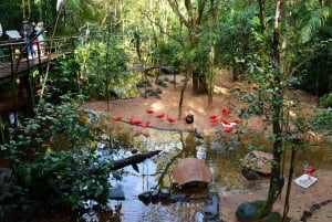 Cascate brasiliane, Parco degli uccelli e diga di Itaipu
