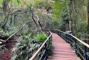 Brasilianske vandfald, fuglepark og Itaipu-dæmningen