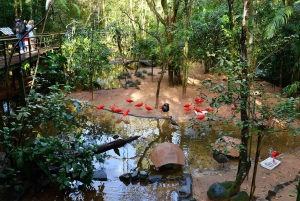 Brasilianske vandfald, fuglepark og Itaipu-dæmningen