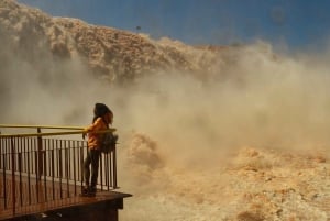 Brasilianske vandfald, fuglepark og Itaipu-dæmningen