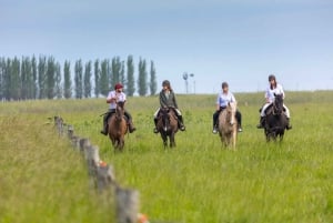 Buenos Aires: A Private Day at an Authentic Argentinian Farm