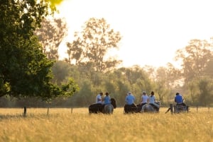 Buenos Aires: A Private Day at an Authentic Argentinian Farm
