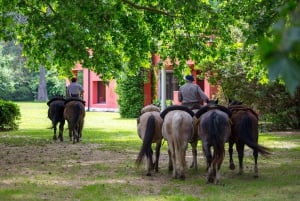 Buenos Aires: A Private Day at an Authentic Argentinian Farm