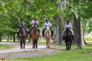 Buenos Aires: A Private Day at an Authentic Argentinian Farm