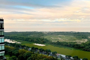 Buenos Aires in het donker: een stadslicht- en zonsondergangervaring