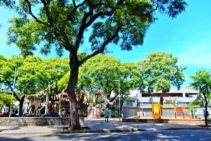 Buenos Aires: Den bästa street food-turen med en lokal guide