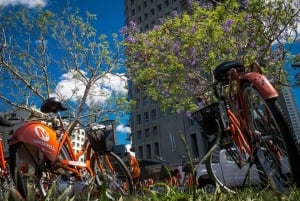 Tour en bicicleta por Buenos Aires: circuito norte o sur