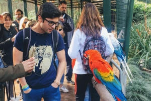 Buenos Aires: Bioparque Temaiken met transfers