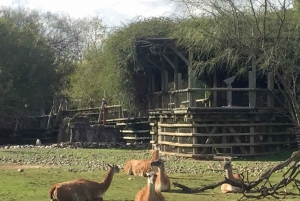 Buenos Aires: Bioparque Temaiken met transfers