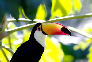 Buenos Aires: Bioparque Temaiken met transfers