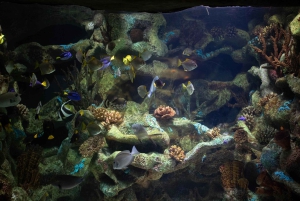 Buenos Aires: Bioparque Temaiken met transfers