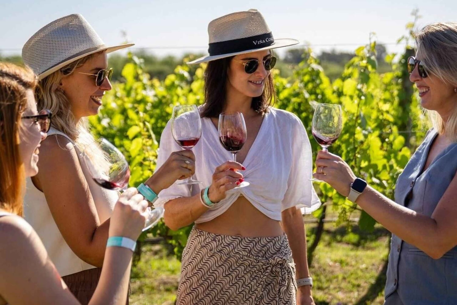 Buenos Aires: Casa Gamboa Winery Tour with Lunch & Wine