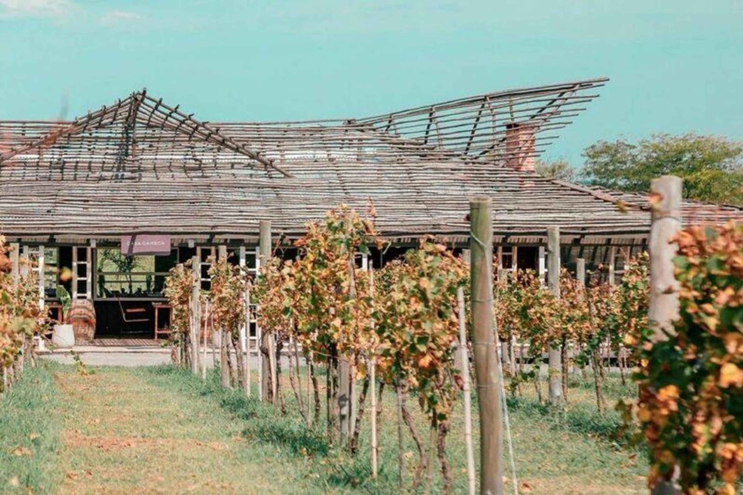 Buenos Aires: Casa Gamboa Winery Tour with Lunch & Wine