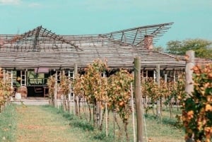 Buenos Aires: Casa Gamboa Winery Tour with Lunch & Wine