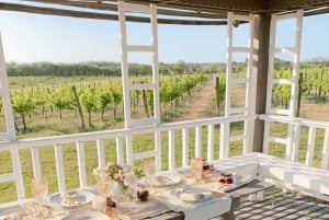 Buenos Aires: Casa Gamboa Winery Tour with Lunch & Wine