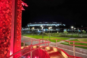 BUENOS AIRES: TOUR NOCTURNO LUCES DE LA CIUDAD + 1 Drink en RoofTop Palermo