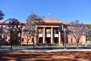 Stadtführung durch Buenos Aires: Kunst, Architektur und Geschichte