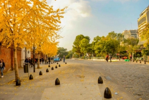 Buenos Aires: Stadsvandring Porteno med vinprovning