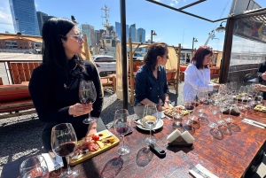 Buenos Aires: Byrundtur Premium + Catena Zapata-vinsmaking