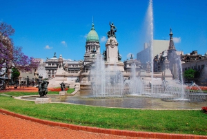 Buenos Aires City Tour with Luxury Lunch