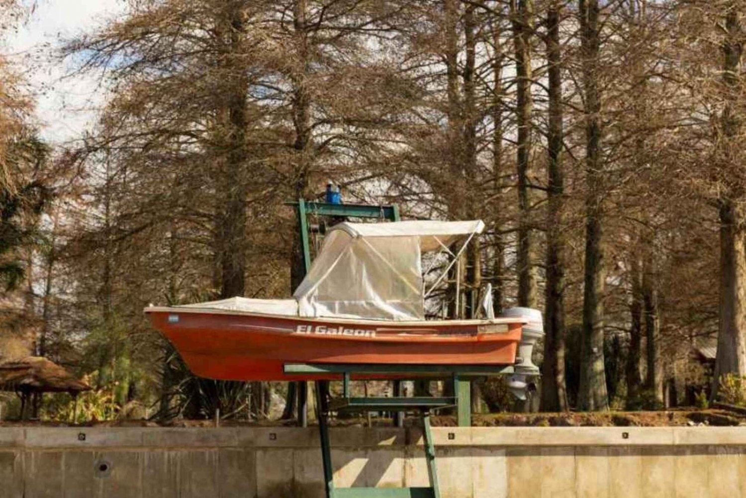 Buenos Aires: Passeio de barco clássico e particular pelo Delta Tigre