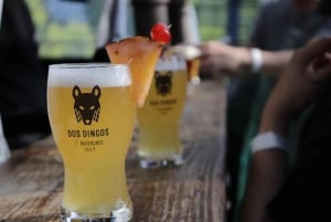 Buenos Aires: Craft Bier Avontuur in Colegiales