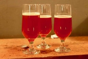 Buenos Aires: Craft Bier Avontuur in Colegiales
