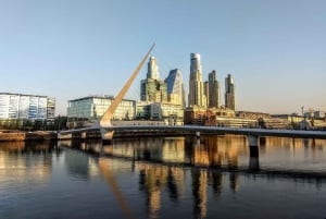 Buenos Aires: Culture and History Private Tour