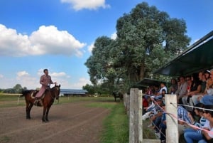 Buenos Aires: Don Silvano Ranch Gaucho dagsudflugt