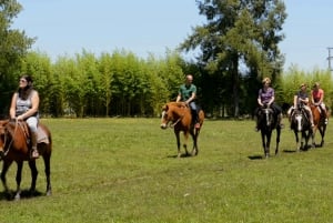 Buenos Aires: Don Silvano Ranch Gaucho dagsudflugt