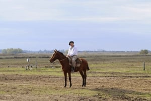 Buenos Aires: Escursione di un giorno al Ranch Gaucho Don Silvano