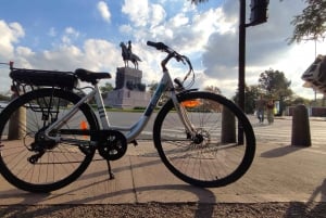 Buenos Aires: E-Bike Tour in the North Circuit of Buenos Aires