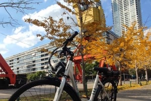 Buenos Aires: E-Bike Tour in the North Circuit of Buenos Aires