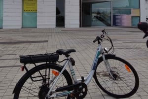 Buenos Aires: E-Bike-tur i södra delen av Buenos Aires