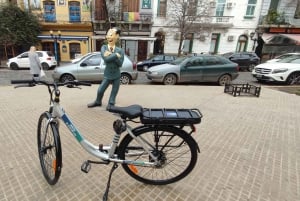 Buenos Aires: E-Bike-tur i den sydlige del af Buenos Aires