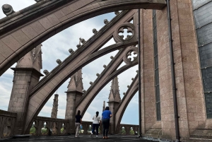 Buenos Aires: Nyd en komplet rundvisning i basilikaen i Luján.