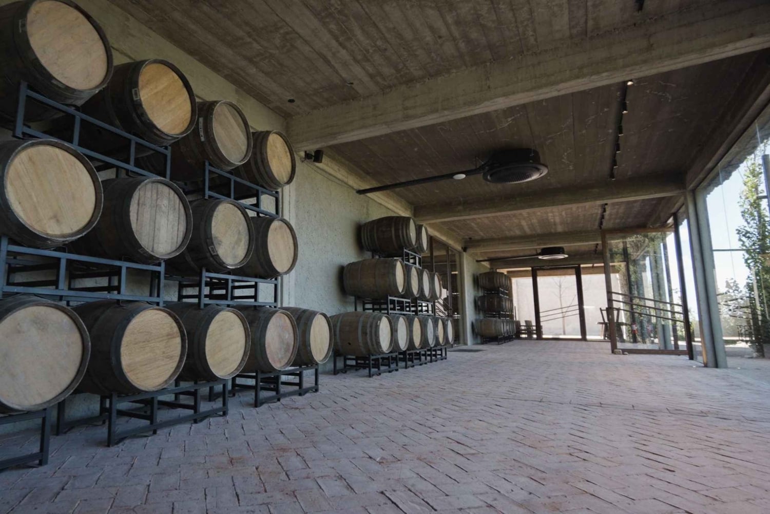 Buenos Aires: visita a la bodega Estancia Vigil con almuerzo