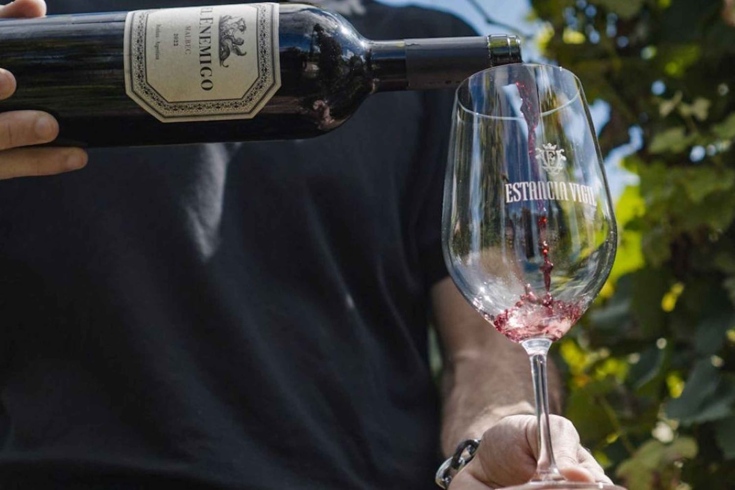 Buenos Aires: visita a la bodega Estancia Vigil con almuerzo