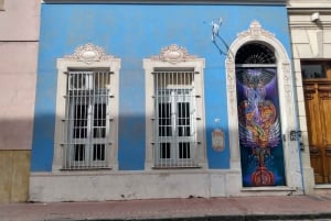 Buenos Aires: geniet van een complete rondleiding door de basiliek van Luján.