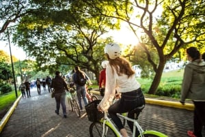 Buenos Aires: Excursão de 1 dia em bicicleta com almoço