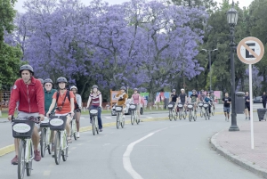 Buenos Aires: Excursão de 1 dia em bicicleta com almoço