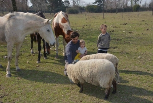 Buenos Aires: Gaucho-dag med asado (grillmat)