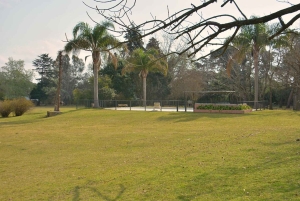 Buenos Aires: Gaucho-dag med asado (grillmat)